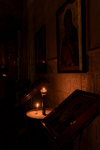 0R0A7536_resized.jpg