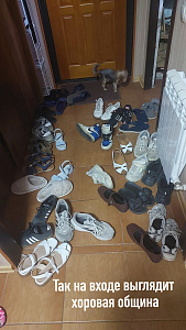 vk_1763_9.jpg